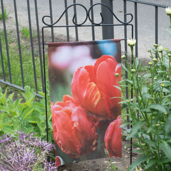 Gartenfahne - Blumenstecker Tulpe rot