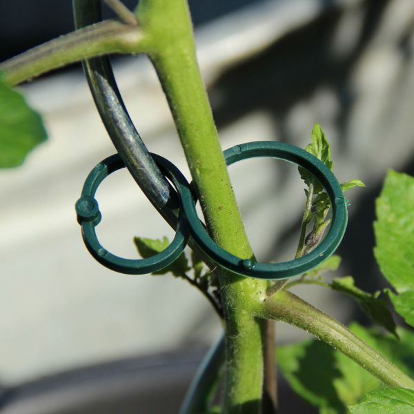 Pflanzen Ringbinder Kunststoff, 10 Stück grün