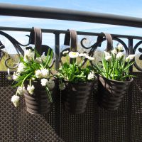 Balkon-Hängetopf Wave, 3er-Set Balkon-Hängetopf Wave, 3er-Set