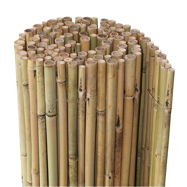 Bambusmatte Bangkok, extra starke Bambusrohre, 2-3cm