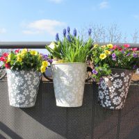 Balkon-Hängetopf Capri, halbrund Balkon-Hängetopf Capri, halbrund