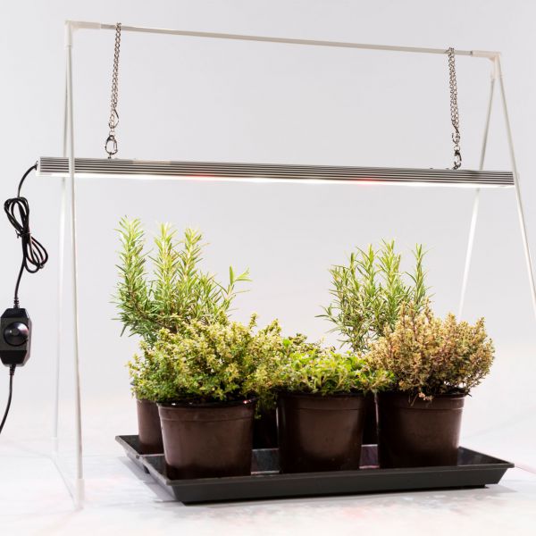 Pflanzenlampe GrowLight Duo