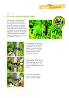 Pflanzen- und Baumbinder Treefix